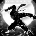 Shadow Warrior : Hero Kingdom Fight