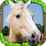 Ultimate Horse Simulator
