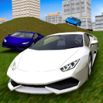 Multiplayer Driving Simulator