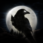 Night crow
